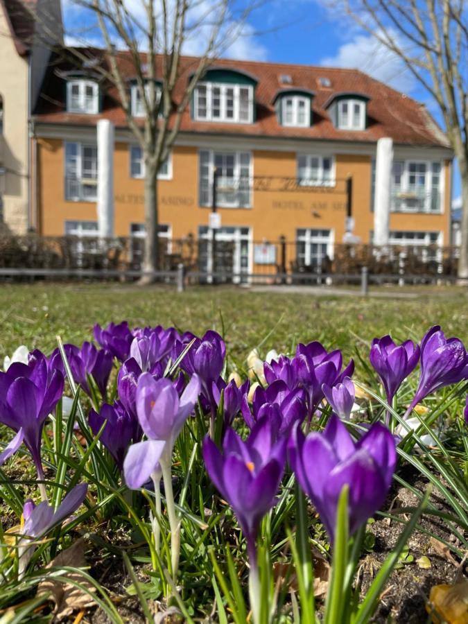 Altes Kasino Hotel Am See ノイルピーン エクステリア 写真